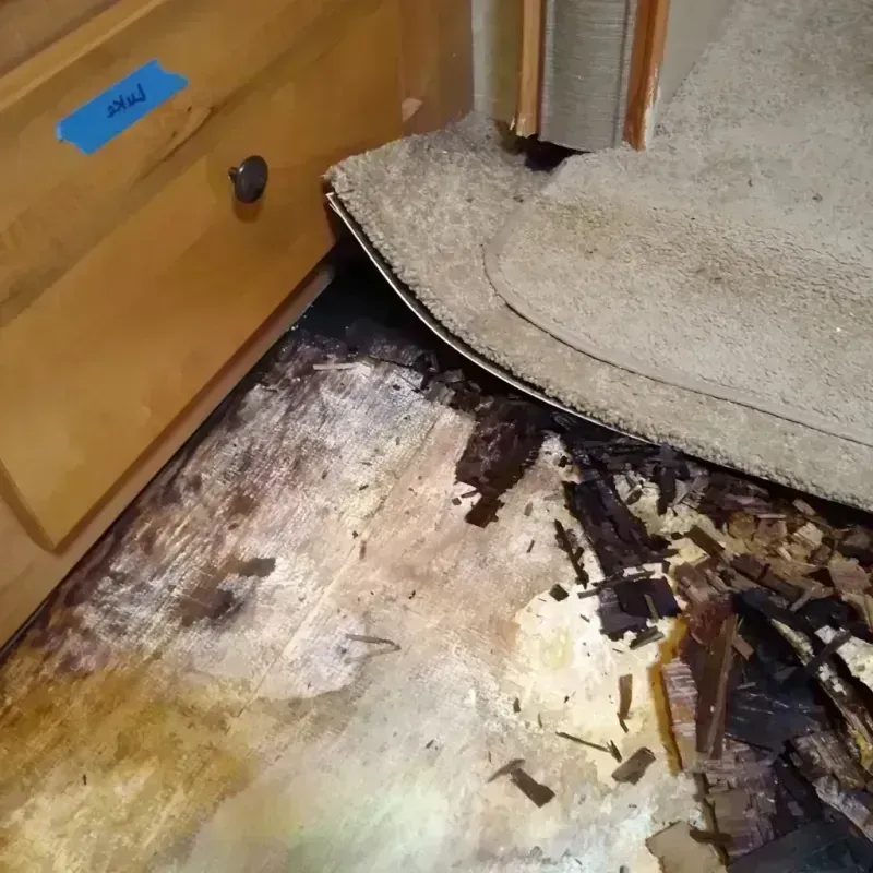 Best Wood Floor Water Damage Service in Lake County, OR